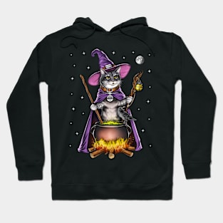 Cat Witch Hoodie